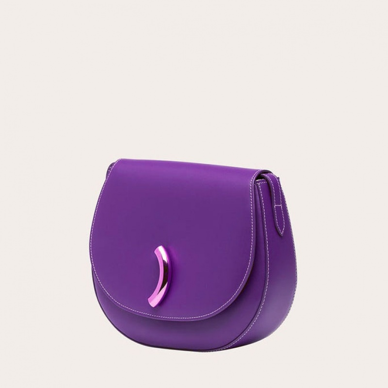 Purple Little Liffner Maccheroni Women's Saddle Bags | UCHNVE-986